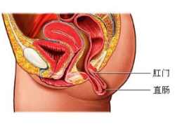 脱肛的原因,从生活习惯到疾病因素的多维度分析”